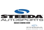 Steeda Sidewinder Decal - Silver (2015 All)